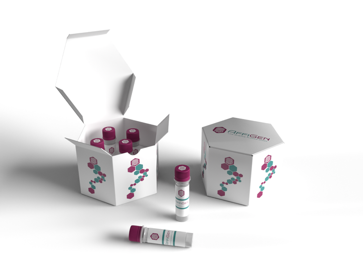 AffiAB® Goat Anti-Pig IgG (H&L) HRP